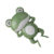 Green Frog