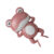 Red Frog